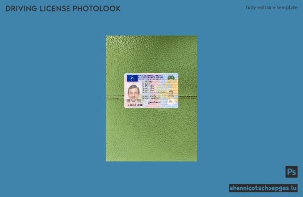 Polnischer Führerschein 2022-heute: Beispielvorschau für die Fotoansicht